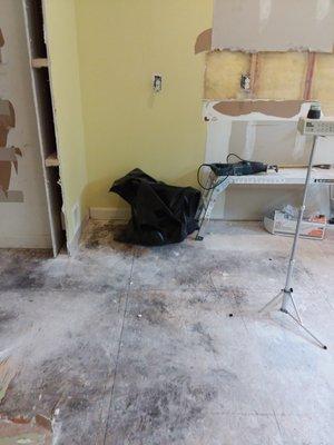 Mold on kitchen flooring discovered during a remolding project.