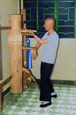 ip man playing the wooden dummy.