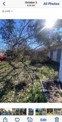 Part of tree after Hurricane  Ian sitting against my back of home