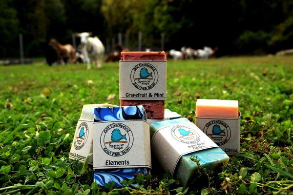 Sparrow Soaps with a few of the Goats at the farm...