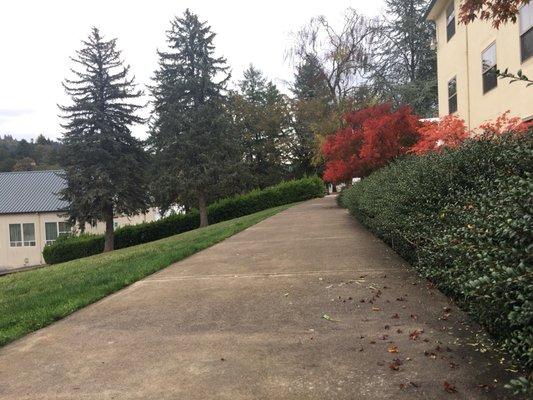 Walkway from Harmony Hall to Expansion Hall