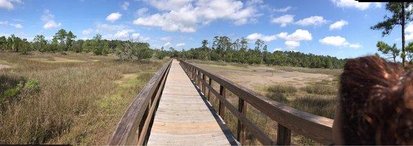 Boardwalk on one of the trails.