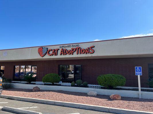 Homeward Bound Cat Adoptions