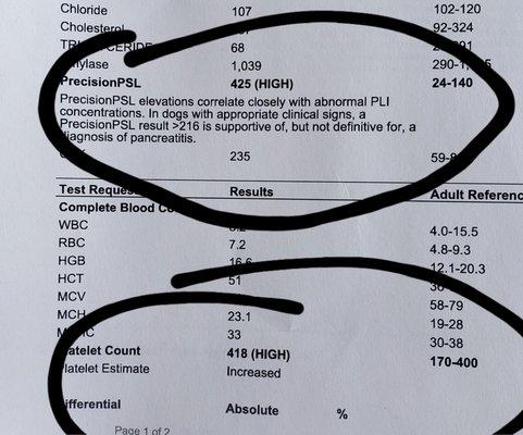 Elevated level in bloodwork the vet opted not to share with me.