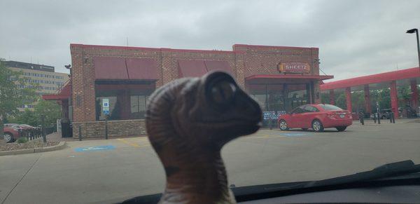 Bob the Raptor says "Mammals come here to get gas and stuff!: