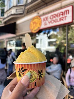 Passion fruit sorbet