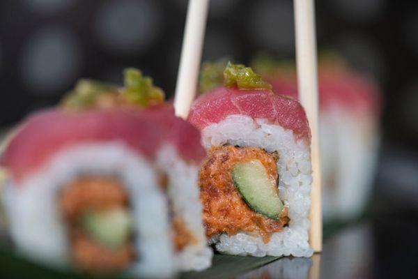 Spicy Tuna Roll