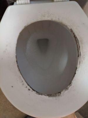 Mold on toilet seat.