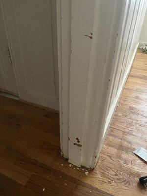 Door frame bottom scratched by Peace of Mind Appliances