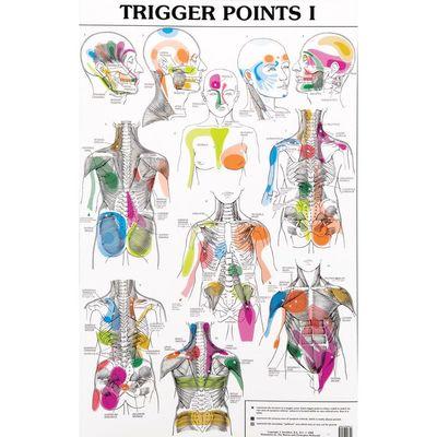 Trigget point chart so that we can pinpoint where your discomfort may be coming from.