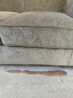 Tilting the couch released termite droppings from inside the couch.