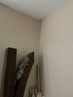 The ceiling leaking from multiple places in my guest bedroom (2nd bedroom). The wood warped and my treadmill was damaged