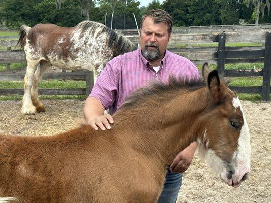 Shannon Cobbs and 7 week foal (name to be determined). You can see momma in the back.