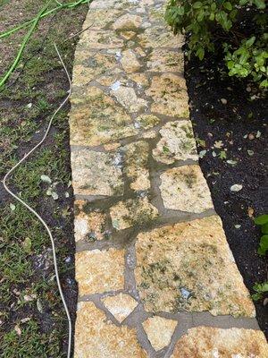 When you get tired of looking at your algae growth on your Flagstone higher, the pro