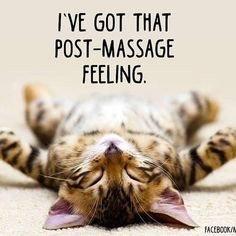 Schedule your massage today  MM36012