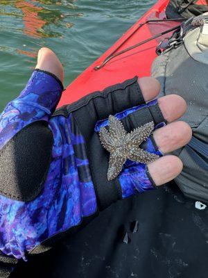 Maine State Sea Kayak