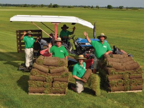 Grass Pad Blue Wave sod