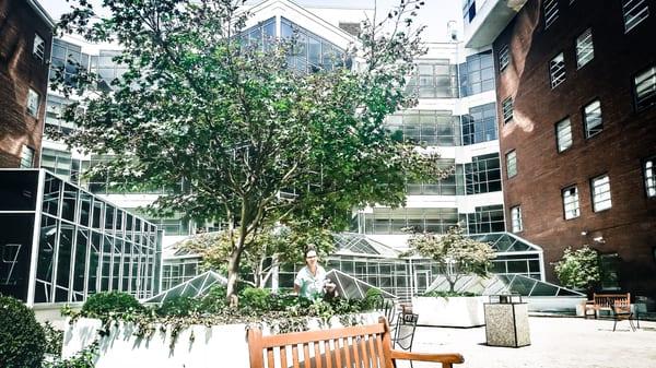 Outdoor table to avo uh d the food court cafeteria