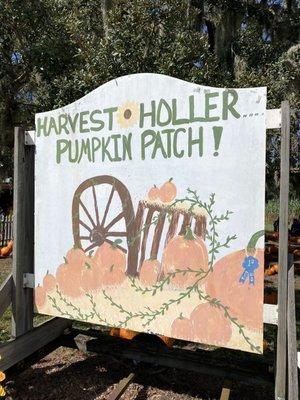 Harvest Holler Corn Maze