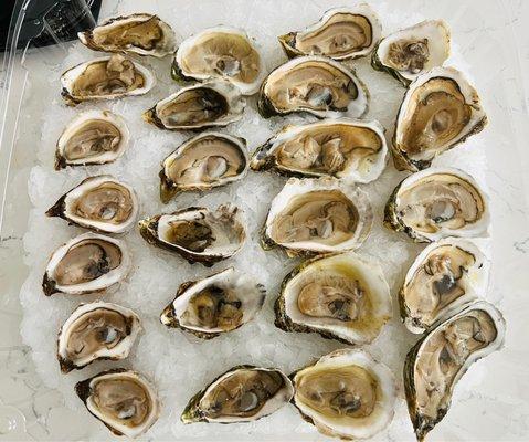 Some of the best raw oysters we've ever had. Jonathan Dillon from the seafood department, prepared these for us. Awesome food and service.