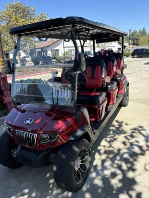 6 passenger front facing cart