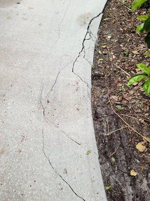 Part of Broken Driveway