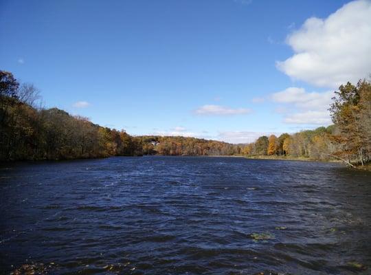 Hilltop Pond view