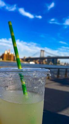 Homemade Lemonade, $5