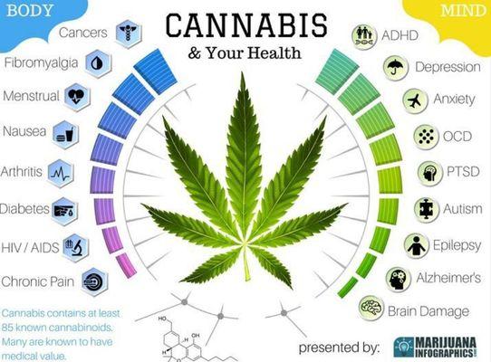 Cannabis and your health.