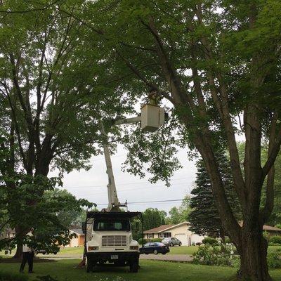 Bucket truck setup for Tree Trimming in Stark County.