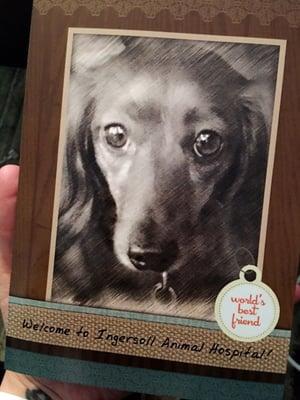 Thank-you card with my dog's adorable face: this made my entire week!