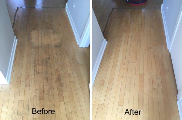 Hardwood floors cleaning. Call for Fee Quote (773) 570-4224