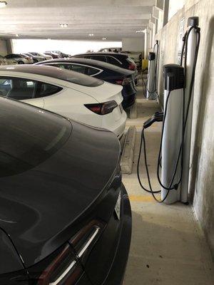 3 Tesla's not charging using the public charging stations as private parking