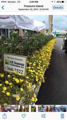 All Seasons Landscaping & Nursery