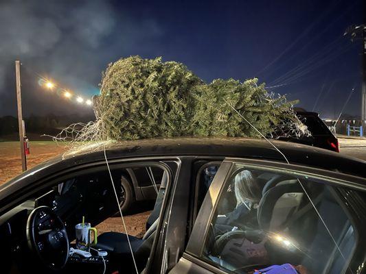 They hoist the tree onto your car and tie it down for you