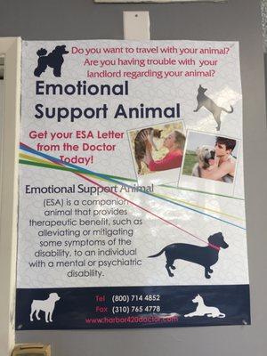 Emotional support animal certificates are available here too! Awesome!!