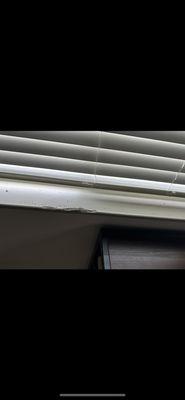 Trim damage on windowsill