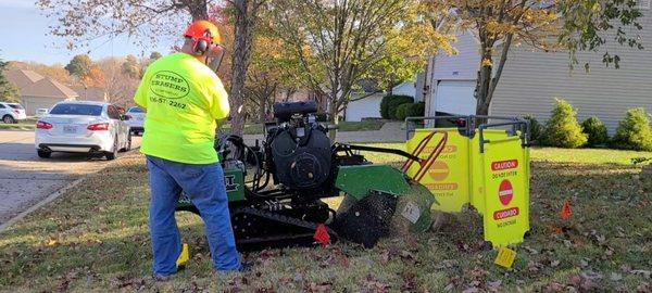 We use tracked grinders to protect your lawn and we pride ourselves on excellent clean-up after the job.