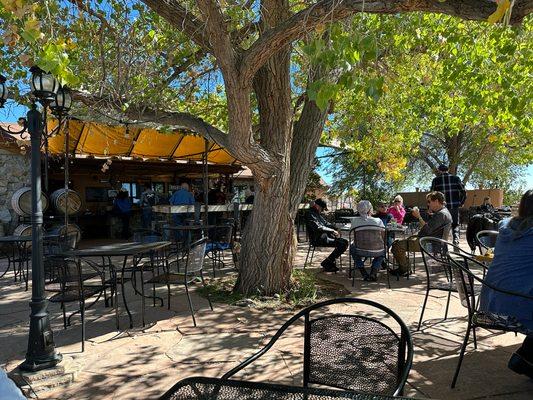 Drinking under the shade of the trees