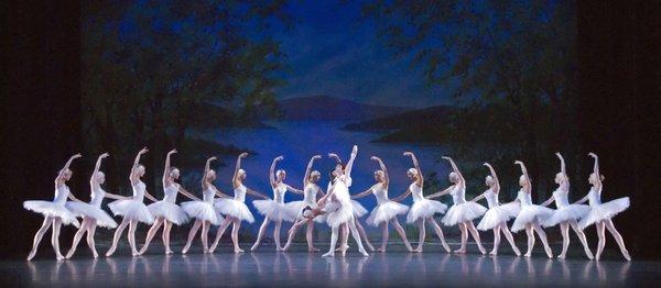 Swan Lake 2007