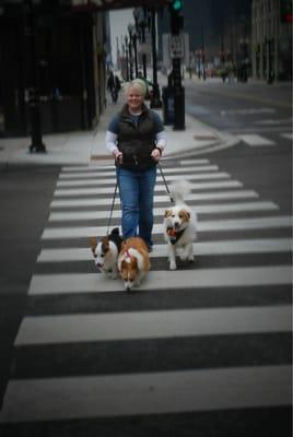 Top Dog, Lindsay Gray, and her pups. Dog walking in the city is so much fun!