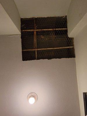 Vent above toilet in their bathroom had a dead mouse or rat hanging. Don't use their bathroom