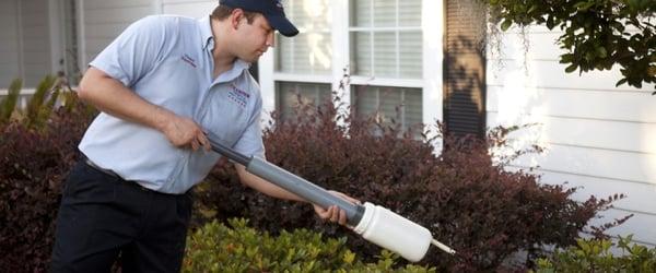 Pest services Palatka FL