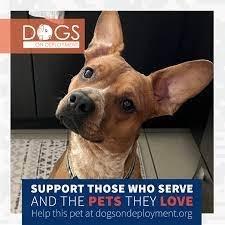 Support our GIs by boarding their pets.