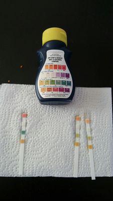 The left (single) strip is tap water. The right 2 strips are their so called Alkaline water. My tap water is more alkaline.