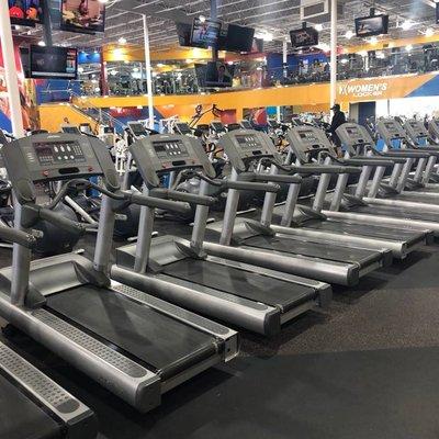 Top-notch cardio equipment.