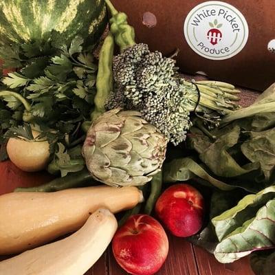 Organic Produce delivered to your Sarasota, Venice, Lakewood Ranch home or workplace.