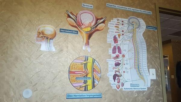 Lots of charts and diagrams