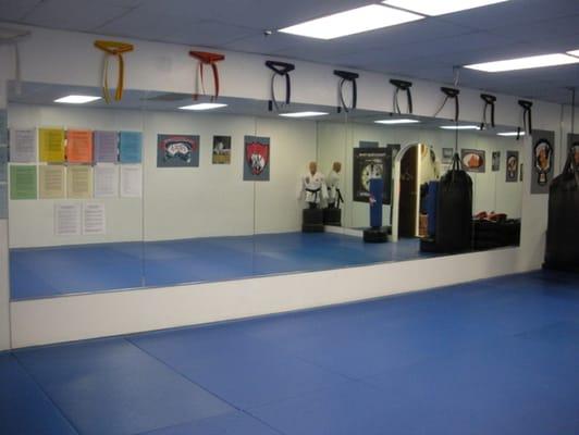 Clean and comfortable mat area for training.  Fully air conditioned.