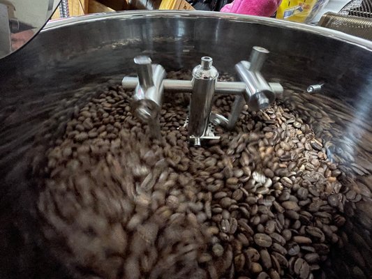 Freshly roasted beans in the cooling table